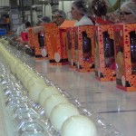 Egg packing