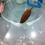 A cocoa pod awaiting its cocktail A cocoa pod awaiting its cocktail