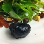 Snails Snails