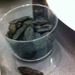 Tonka Beans Tonka Beans